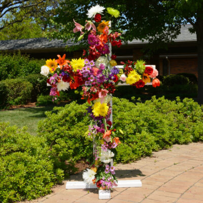 Holy Cross in the Season of Creation